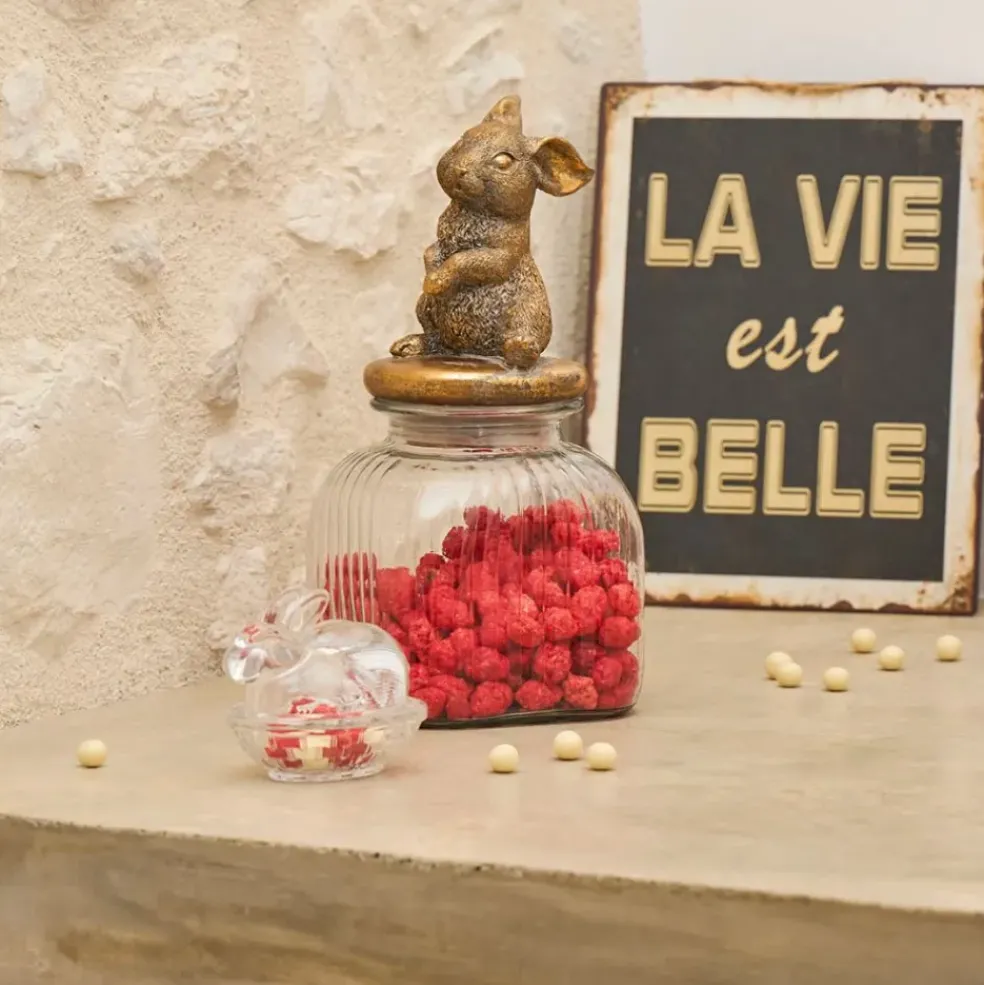 Bocal en verre avec couvercle lapin mordoré - Floreal