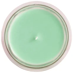 Bougie sous le figuier vert 220g