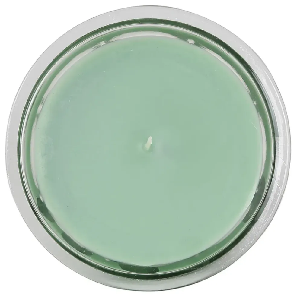 Bougie sous le figuier vert 220g