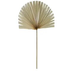Branchage palmier naturel 50xh96cm feuille de palmier