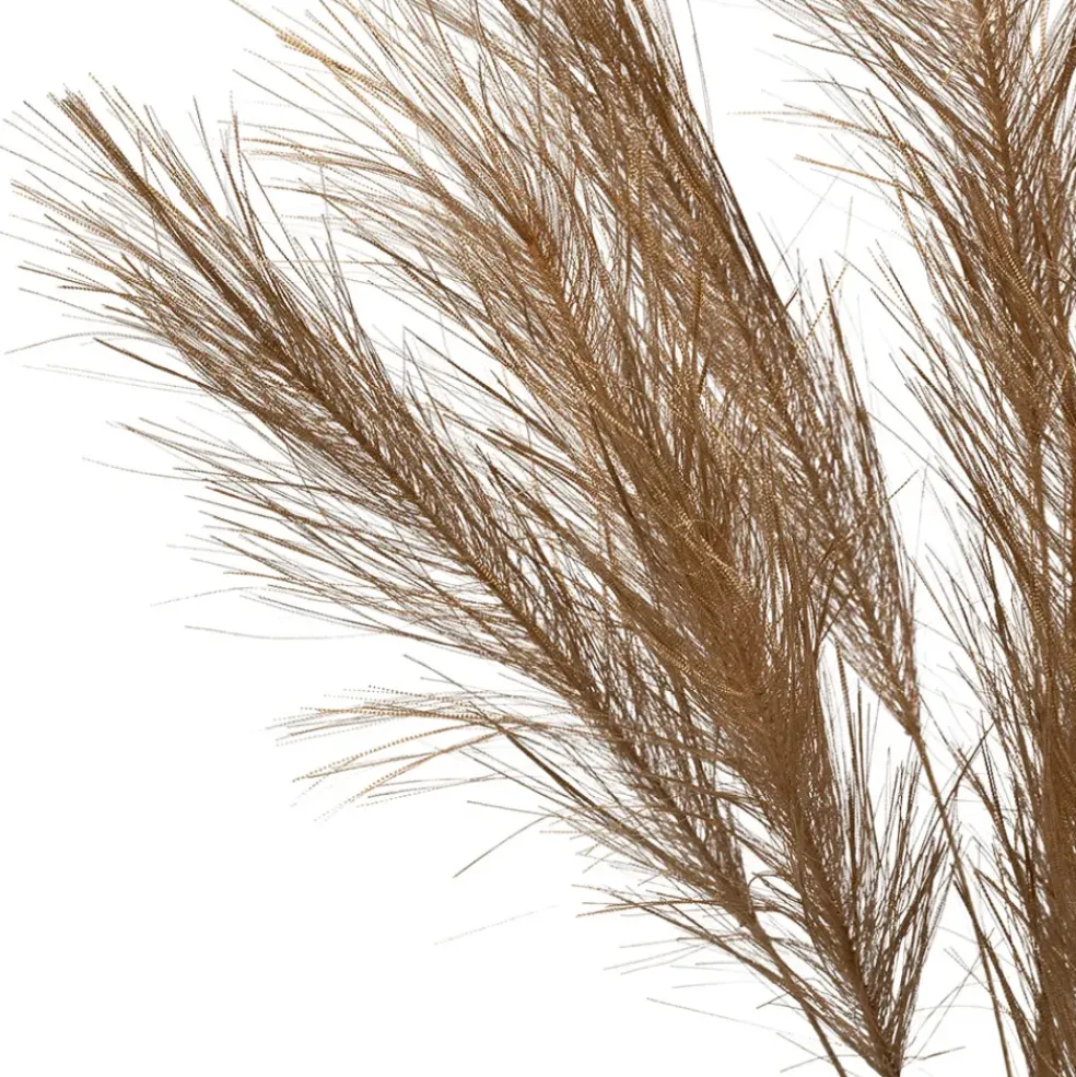 Branchage pampa doré h75cm - Pampa