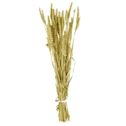 Branche triticum doré h70cm