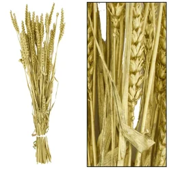 Branche triticum doré h70cm
