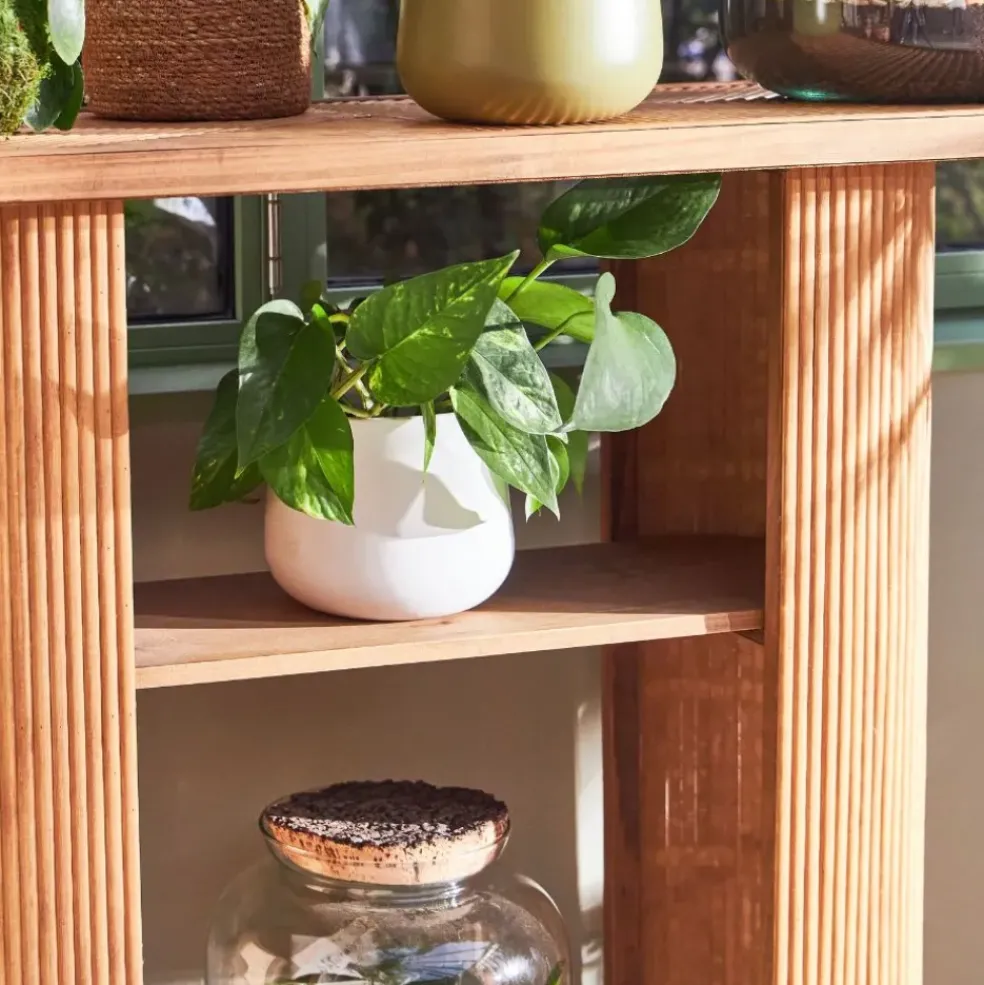 Cache pot en céramique blanc d13.5cm