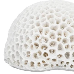 Déco corail rond blanc - bordemer