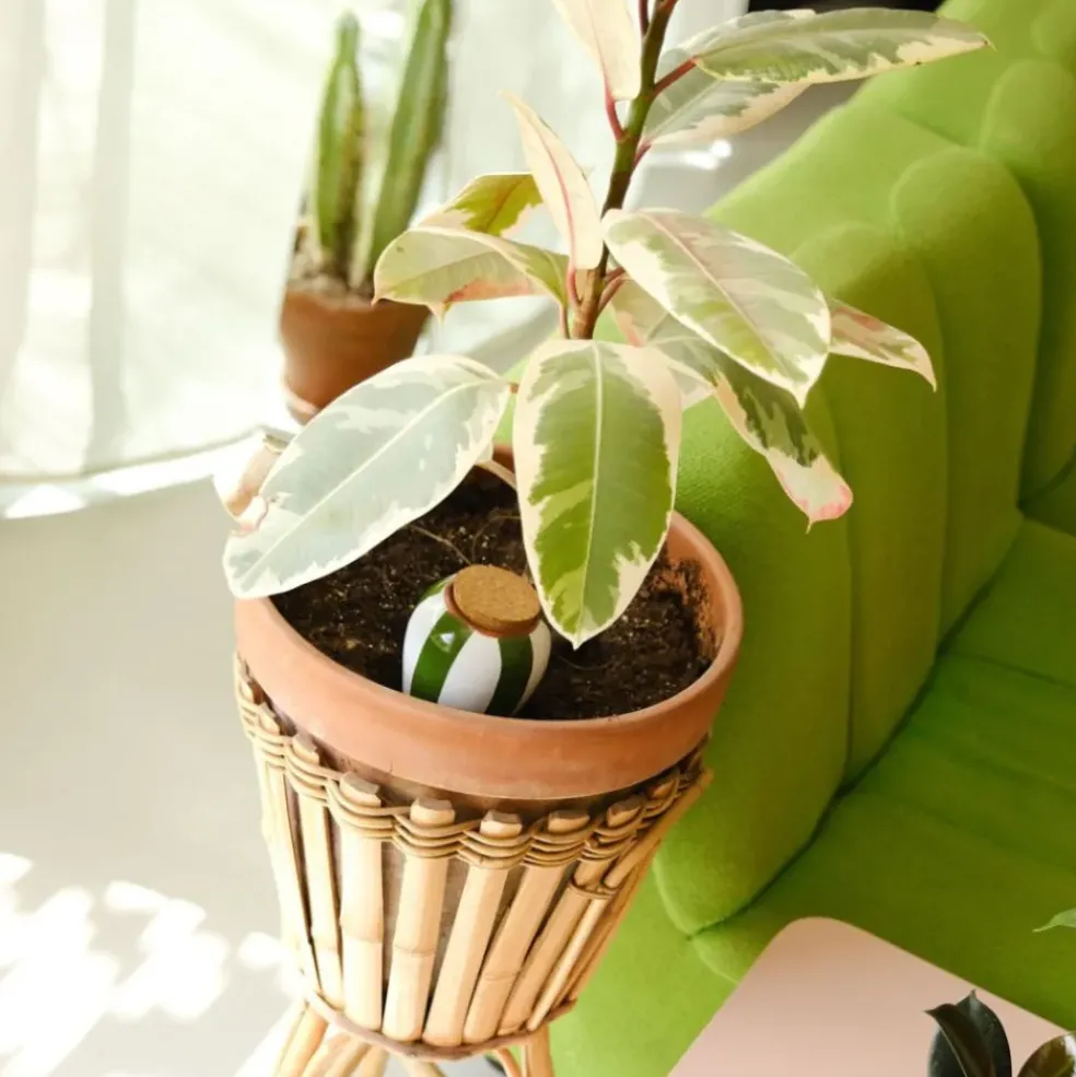 Diffuseur d'eau en argile raye vert et blanc 25cl - Olla