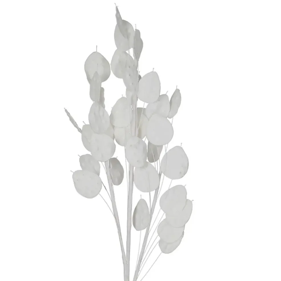 Fleur artificielle blanche h105cm - Beckia