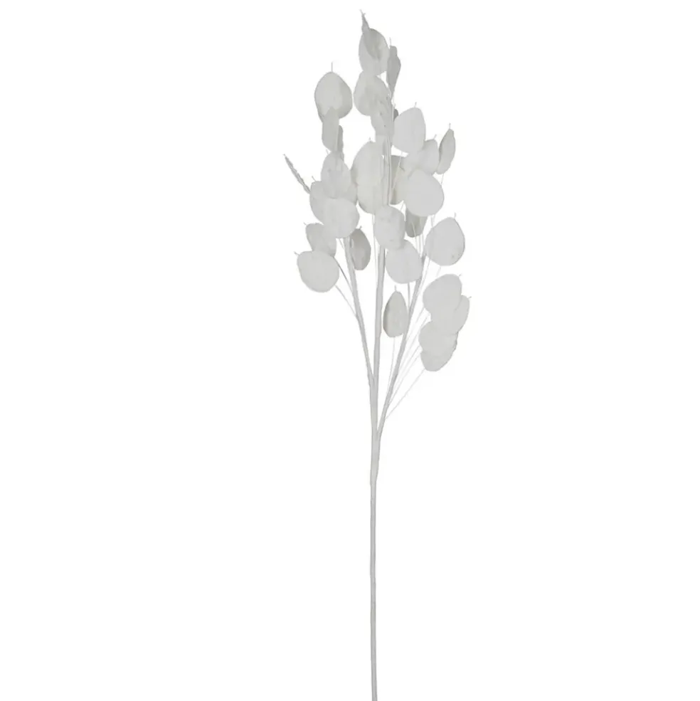 Fleur artificielle blanche h105cm - Beckia