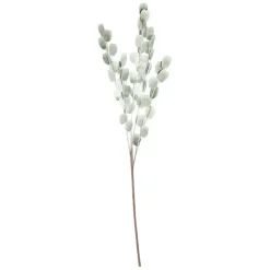 Fleur cerisa vert