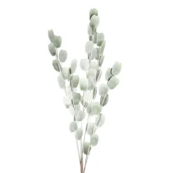 Fleur cerisa vert