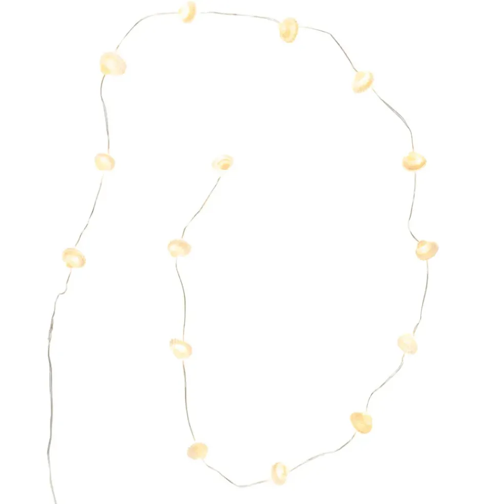 Guirlande avec led coquillage naturel l130cm