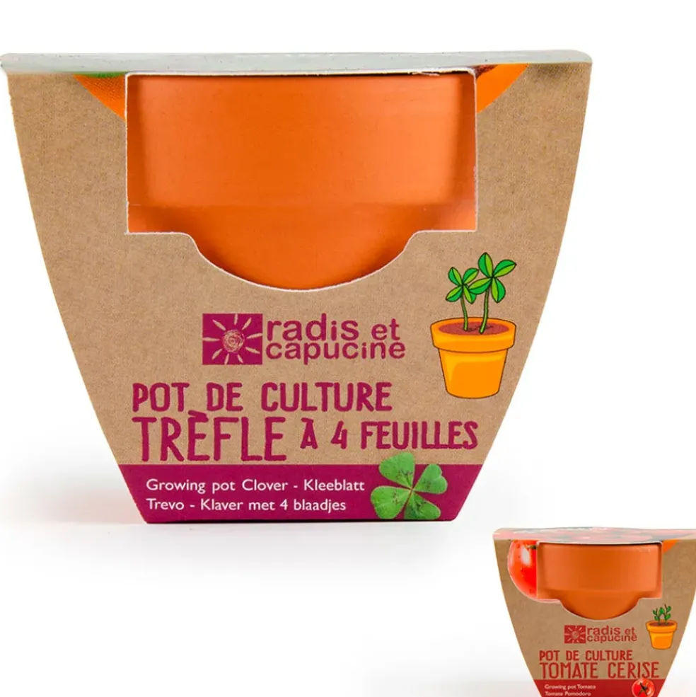 Mini kit d6cm terre cuite trèfle 4 feuilles