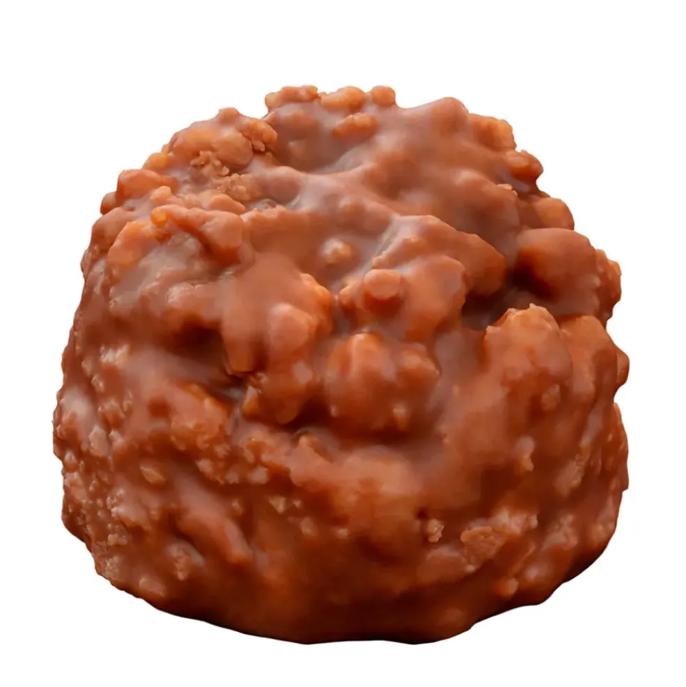 Petit croc' lait gianduja 120g