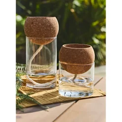 Pot auto arrosant en verre transparent d10xh14cm
