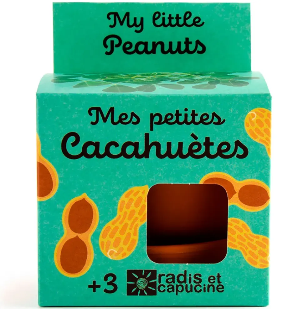 Pot d8cm avec coupelle cacahuète