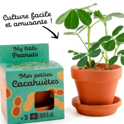 Pot d8cm avec coupelle cacahuète