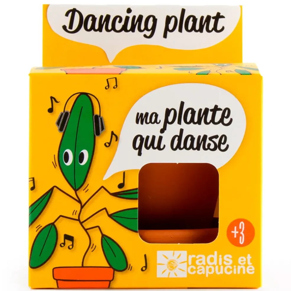 Pot d8cm avec coupelle plante qui danse