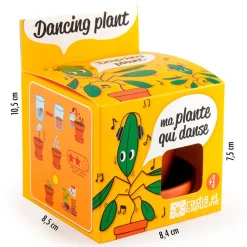 Pot d8cm avec coupelle plante qui danse
