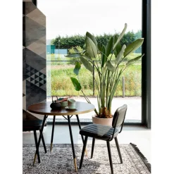 Table à manger ronde en noyer plaqué et métal doré d91cm - Denise