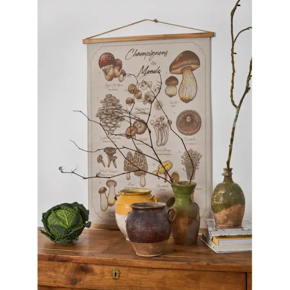 Toile "encyclopédie champignon" 77x110cm